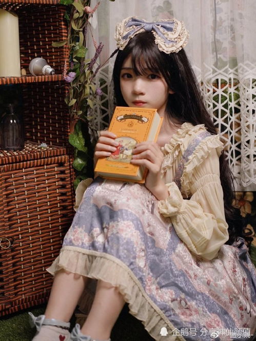 get_img?key=695ce8b69ed2ff4c0ca04754