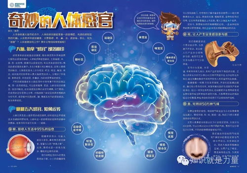 get_img?key=695ce94c9ed2ff4c0ca0575b