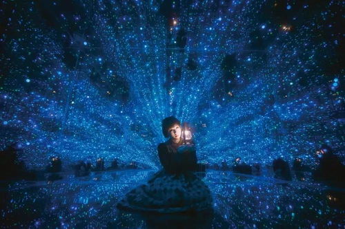 get_img?key=695ce9849ed2ff4c0ca05db7