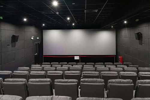 get_img?key=695ce9fa9ed2ff4c0ca06981