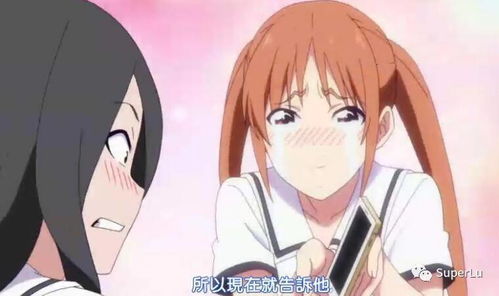 get_img?key=695cea209ed2ff4c0ca06e20