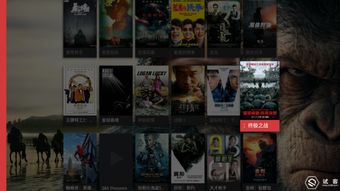 get_img?key=695cea749ed2ff4c0ca0761c