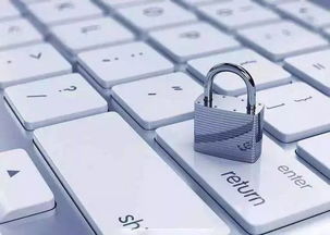 get_img?key=695cea979ed2ff4c0ca0797f