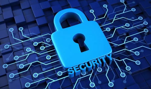 get_img?key=695cea979ed2ff4c0ca0798d