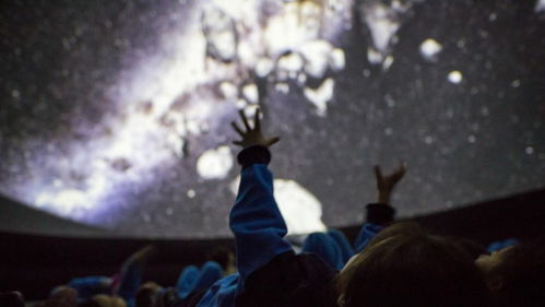 get_img?key=695cea999ed2ff4c0ca079d4