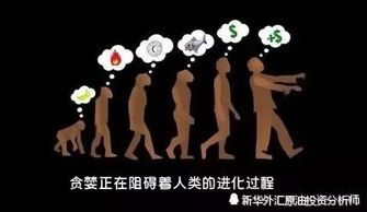 get_img?key=695ceb0a9ed2ff4c0ca085ad