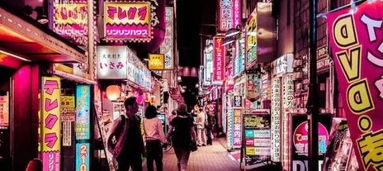 get_img?key=695ceb4c9ed2ff4c0ca08c81