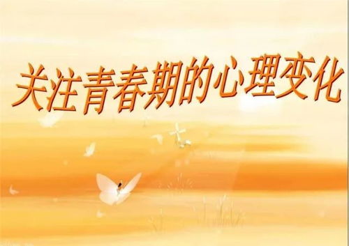 get_img?key=695ceb729ed2ff4c0ca09011