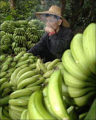 get_img?key=695cebac9ed2ff4c0ca09520