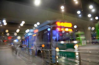 get_img?key=695cebc49ed2ff4c0ca09710