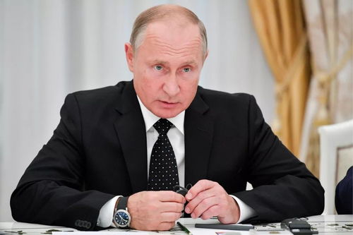 get_img?key=695cebdb9ed2ff4c0ca0995d