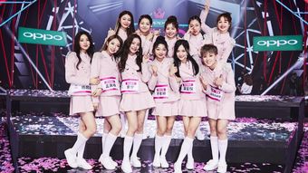 get_img?key=695cec359ed2ff4c0ca0a0f6