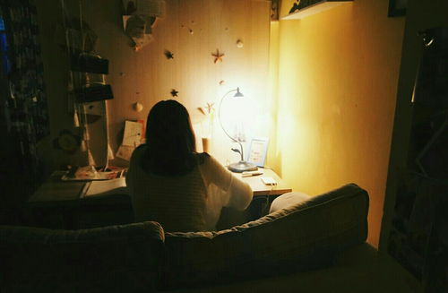 get_img?key=695cec389ed2ff4c0ca0a17e