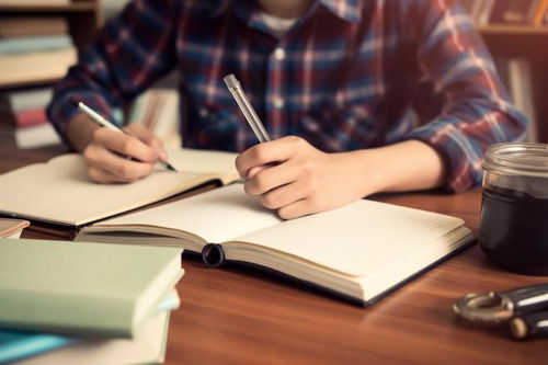 get_img?key=695cec819ed2ff4c0ca0a9b7