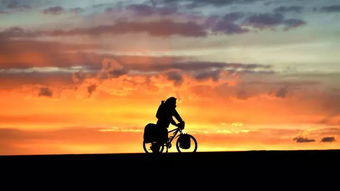 get_img?key=695cec819ed2ff4c0ca0a9bb