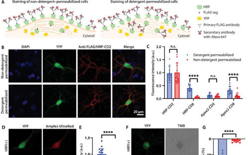get_img?key=695cec829ed2ff4c0ca0a9ea