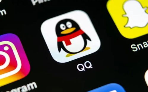 get_img?key=695cecad9ed2ff4c0ca0af2d