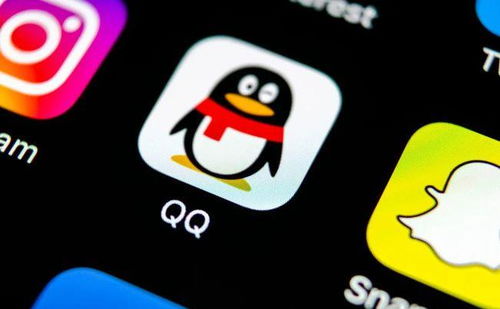 get_img?key=695cecad9ed2ff4c0ca0af2f