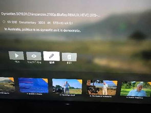 get_img?key=695cecbe9ed2ff4c0ca0b208