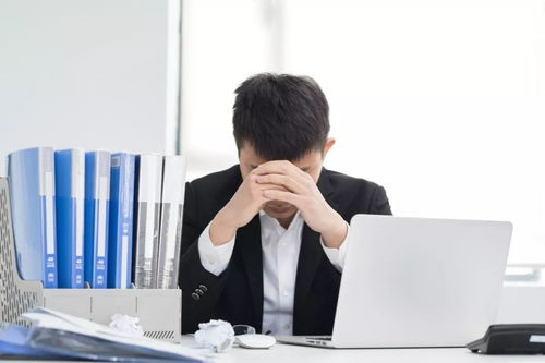 get_img?key=695ceccd9ed2ff4c0ca0b3d7