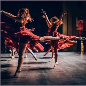 get_img?key=695cecd89ed2ff4c0ca0b506