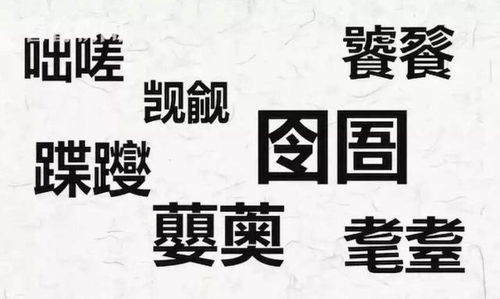 get_img?key=695cecf29ed2ff4c0ca0b79d