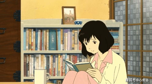 get_img?key=695ced799ed2ff4c0ca0c6da