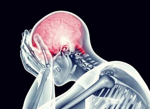 get_img?key=695ced7b9ed2ff4c0ca0c74f