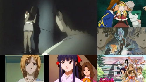 get_img?key=695ced939ed2ff4c0ca0c982