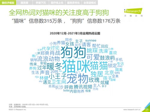 get_img?key=695cedee9ed2ff4c0ca0cfcb