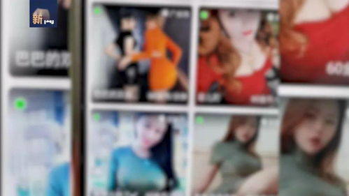 get_img?key=695ceecf9ed2ff4c0ca0ded8