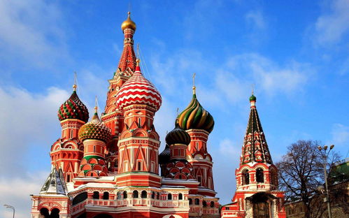 get_img?key=695ceed09ed2ff4c0ca0df04