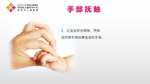 get_img?key=695ceedc9ed2ff4c0ca0e059