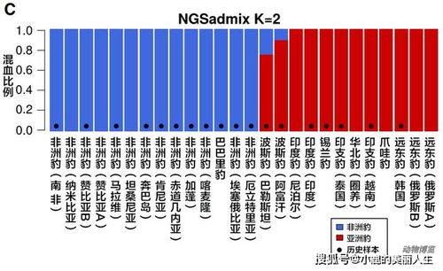 get_img?key=695ceee69ed2ff4c0ca0e197