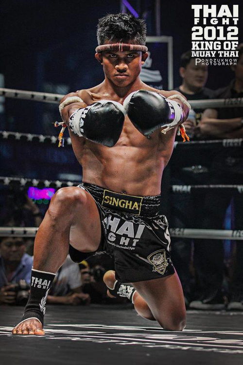 get_img?key=695cf2ca9ed2ff4c0ca117ec