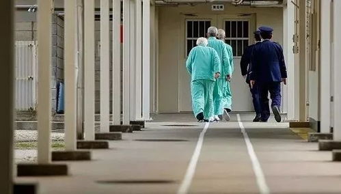 get_img?key=695cf2e99ed2ff4c0ca11a47