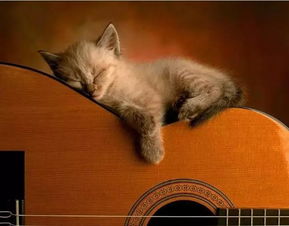 get_img?key=695cf36d9ed2ff4c0ca126b2