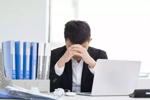 get_img?key=695cf38c9ed2ff4c0ca12991