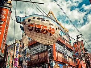 get_img?key=695cf3aa9ed2ff4c0ca12bb0