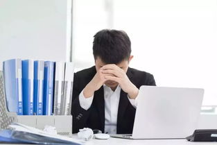 get_img?key=695cf3c59ed2ff4c0ca12dcd