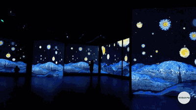 get_img?key=695cf3e79ed2ff4c0ca13025