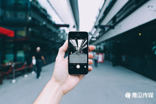 get_img?key=695cf4099ed2ff4c0ca132d9