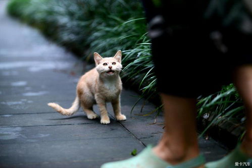 get_img?key=695cf4719ed2ff4c0ca1399f