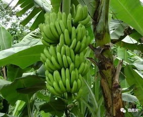 get_img?key=695cf49f9ed2ff4c0ca13d00