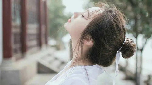 get_img?key=695cf4b89ed2ff4c0ca13fe4