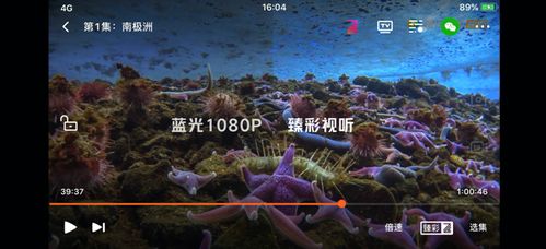 get_img?key=695cf4f99ed2ff4c0ca14651