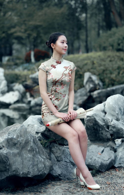 get_img?key=695cf5069ed2ff4c0ca14798