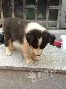 get_img?key=695cf59a9ed2ff4c0ca15643