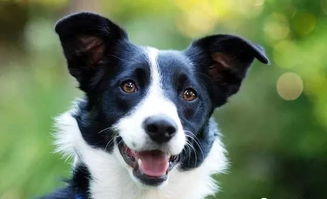 get_img?key=695cf59a9ed2ff4c0ca15647