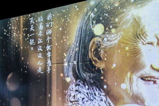 get_img?key=695cf5f29ed2ff4c0ca15d4b